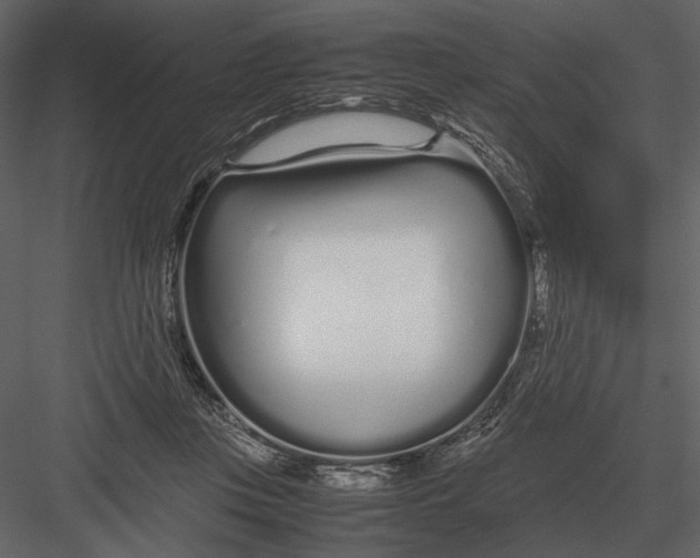 X0000083000359200702230133