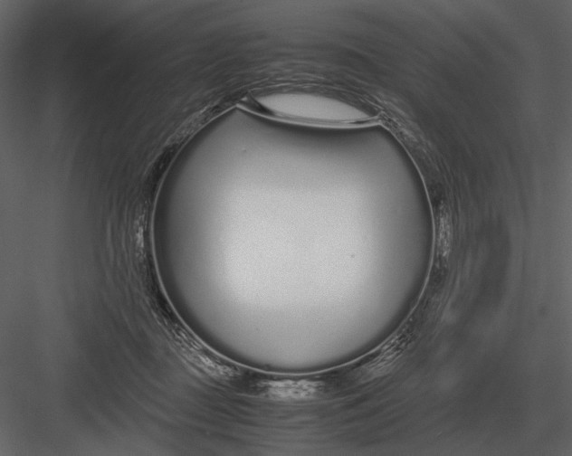 X0000083000363200702230133