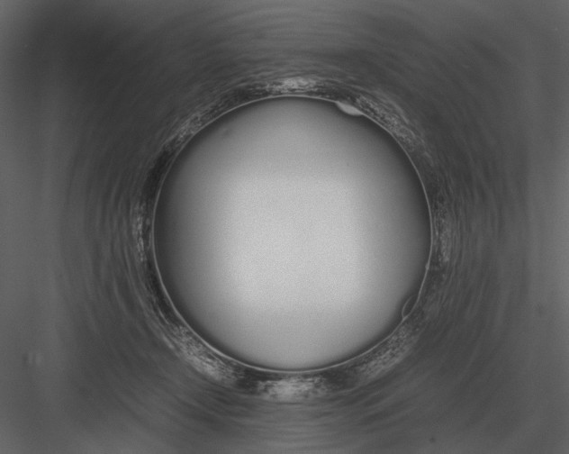 X0000083000366200702230133