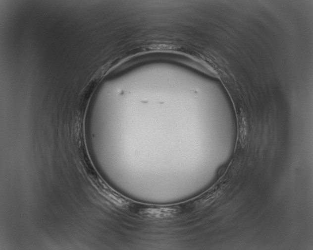 X0000083000367200702230133