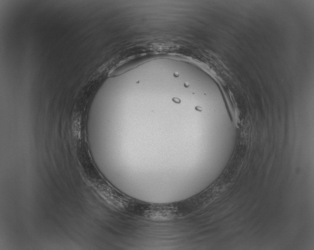 X0000083000368200702230133