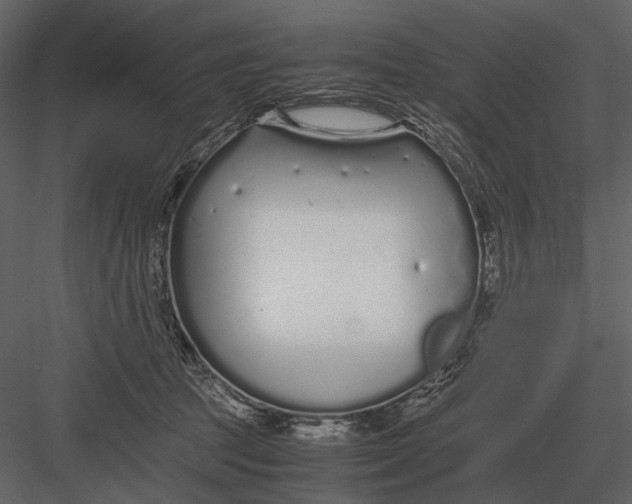 X0000083000369200702230133