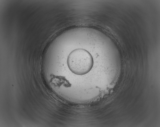 X0000083000370200702230133