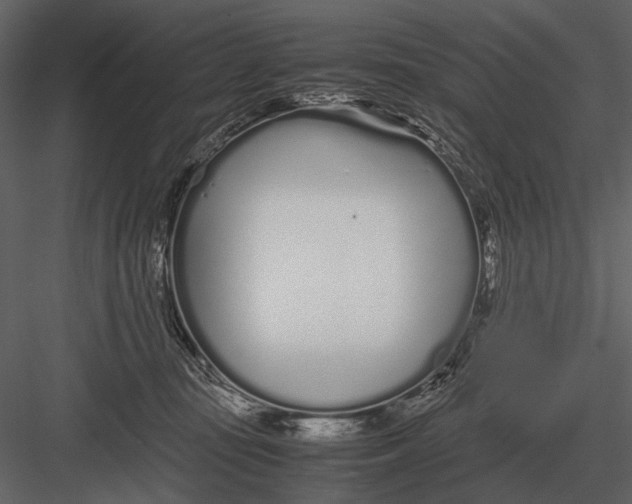 X0000083000371200702230133