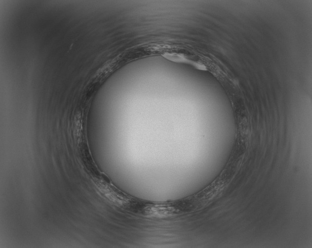 X0000083000372200702230133