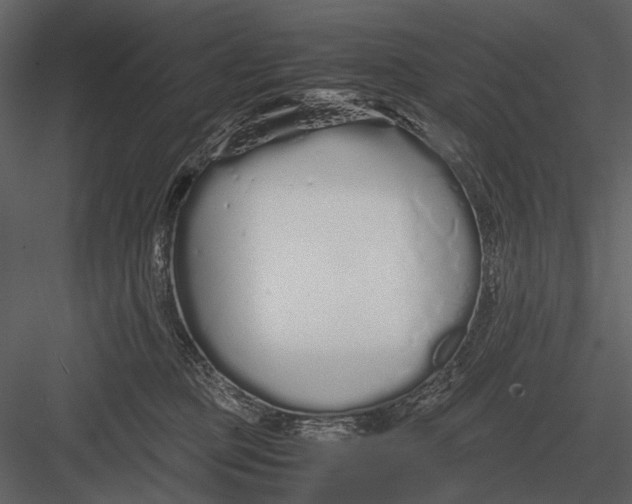 X0000083000373200702230133