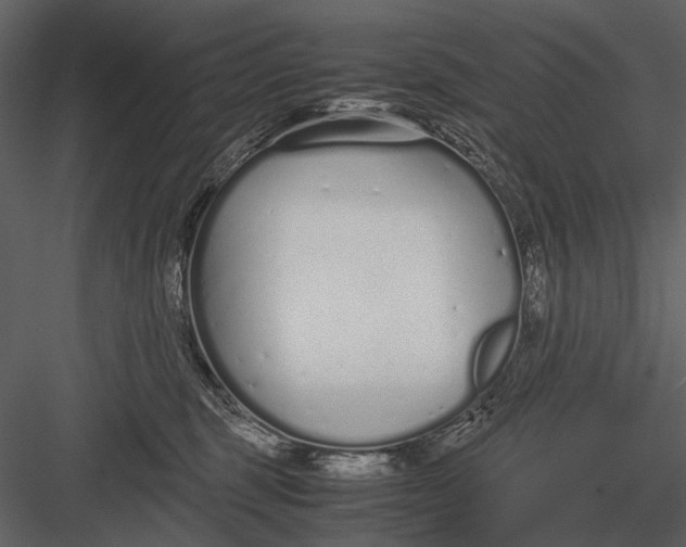 X0000083000375200702230133