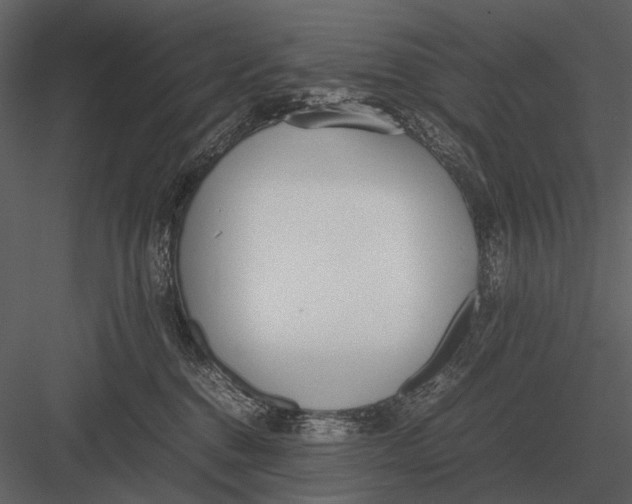 X0000083000376200702230133