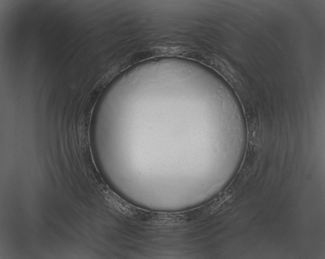 X0000083000377200702230133