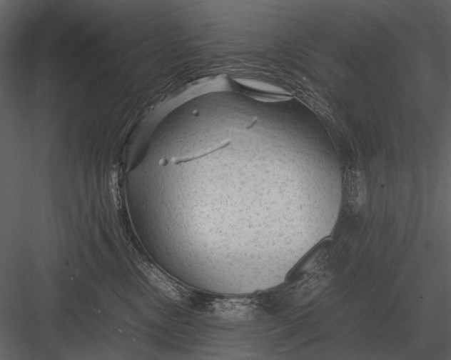 X0000083000378200702230133