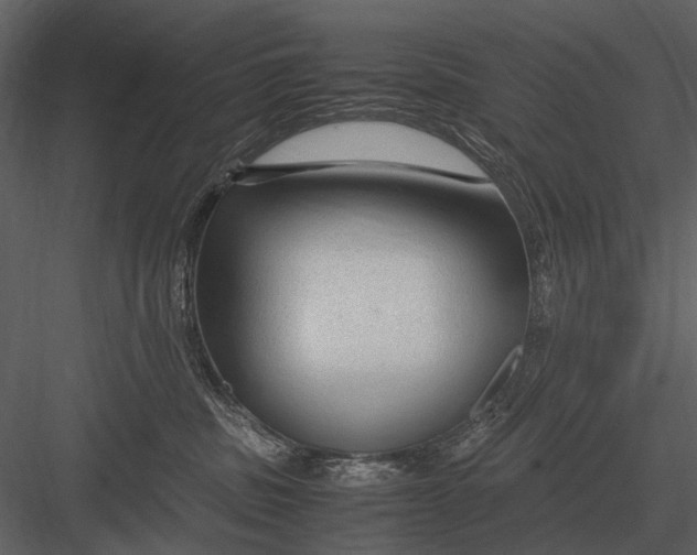 X0000083000379200702230133