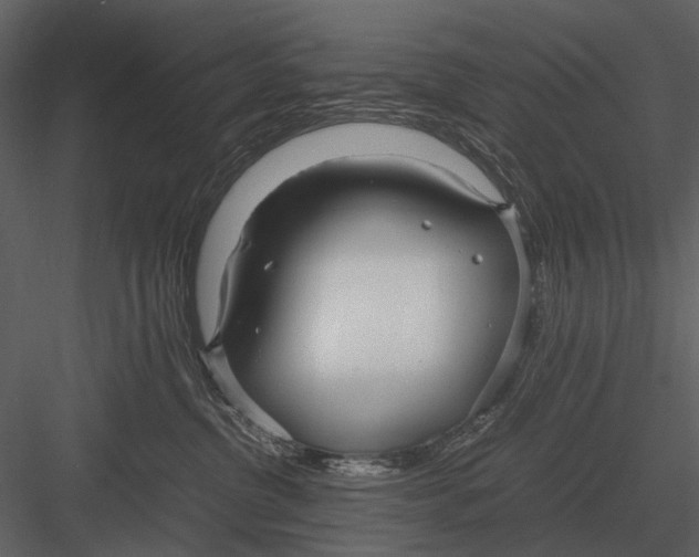 X0000083000380200702230133