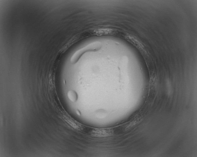 X0000083000381200702230133