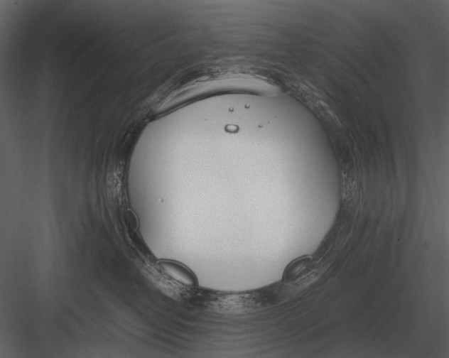 X0000083000382200702230133