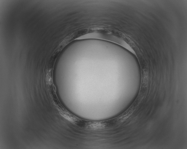 X0000083000383200702230133