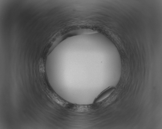 X0000083000384200702230133