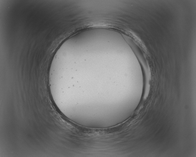 X0000083000385200702230132