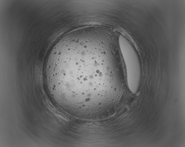 X0000083000386200702230132