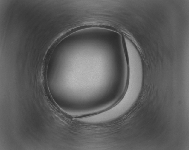 X0000083000387200702230132