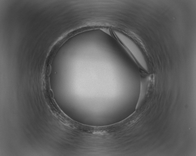 X0000083000388200702230132