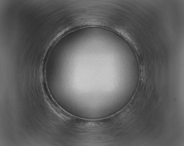 X0000083000390200702230132