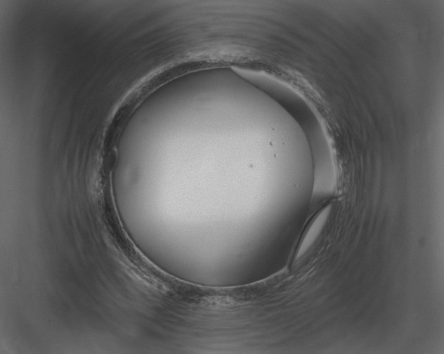 X0000083000392200702230132