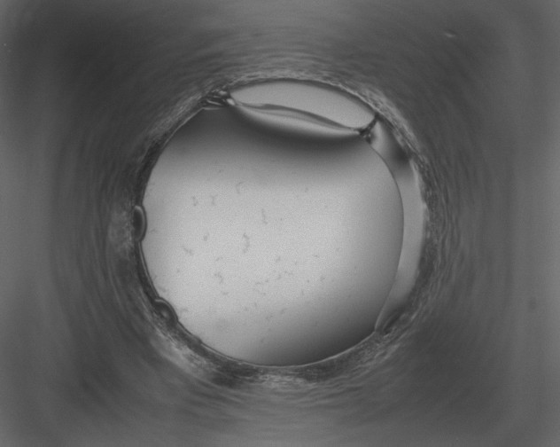 X0000083000393200702230132