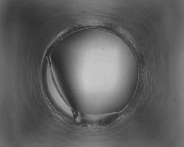 X0000083000395200702230132