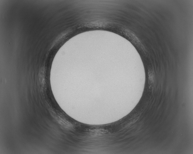 X0000083000396200702230132