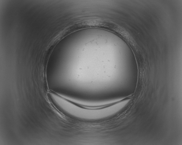 X0000083000397200702230132