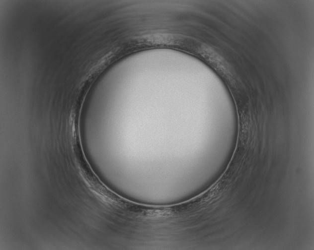 X0000083000398200702230132