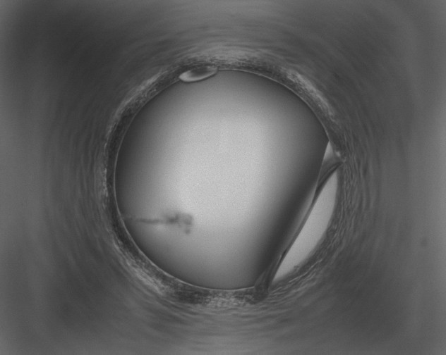 X0000083000399200702230132