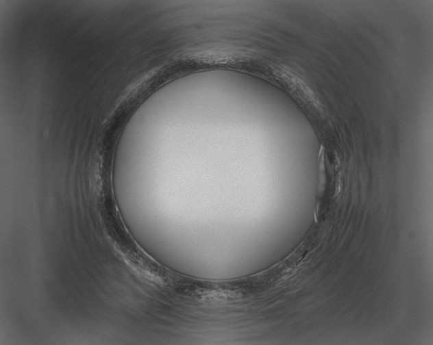 X0000083000400200702230132