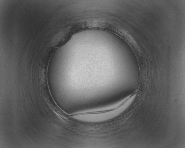 X0000083000401200702230132