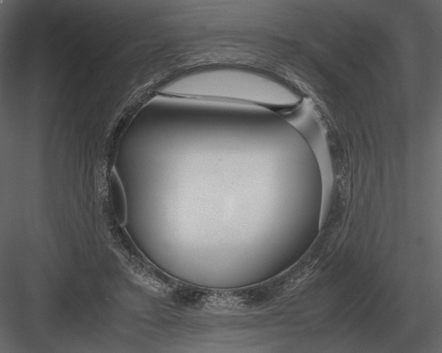 X0000083000403200702230132