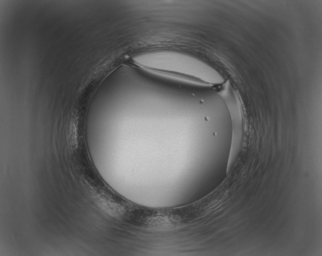 X0000083000404200702230132