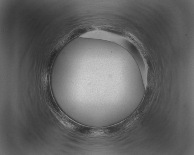 X0000083000405200702230132