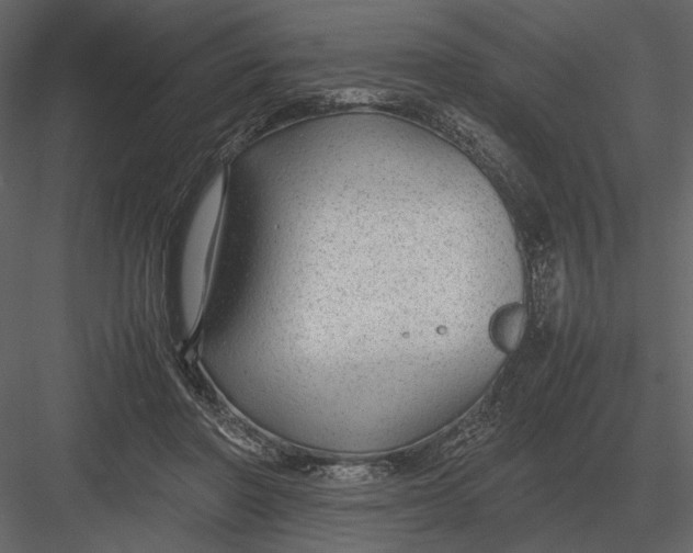 X0000083000406200702230132