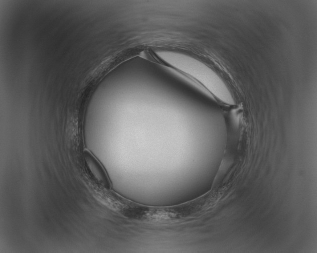 X0000083000407200702230132