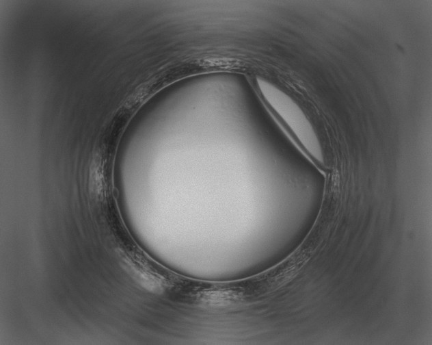 X0000083000408200702230132