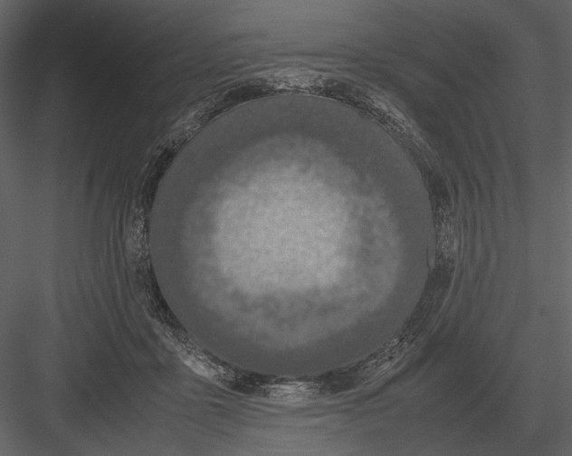 X0000083000411200702230132