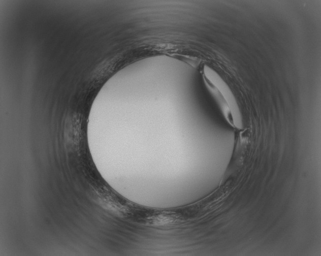 X0000083000412200702230132