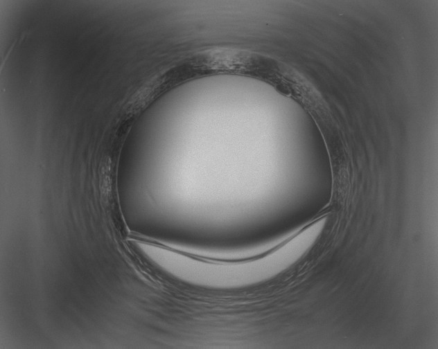 X0000083000413200702230132