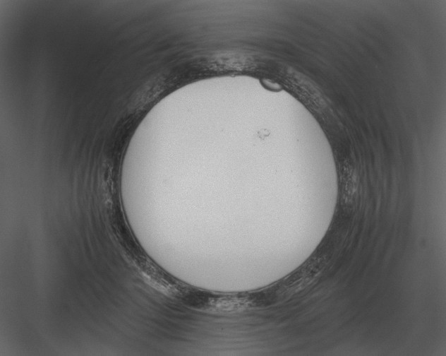 X0000083000414200702230132