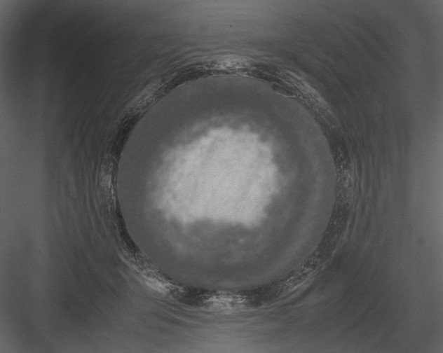 X0000083000415200702230132