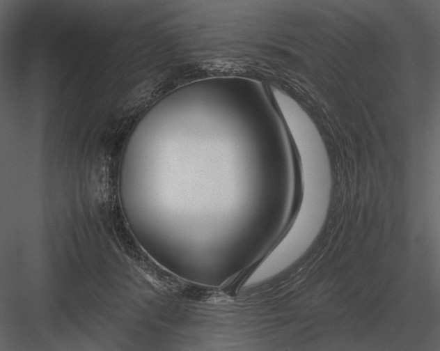 X0000083000416200702230132