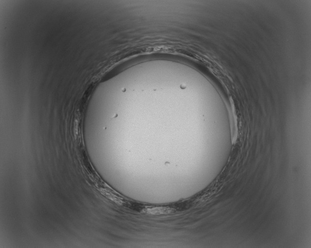 X0000083000417200702230132