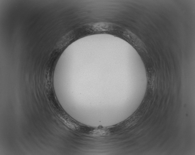 X0000083000418200702230132