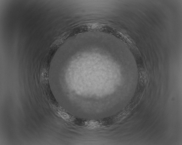 X0000083000419200702230132