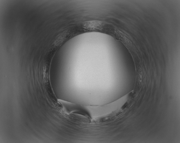 X0000083000420200702230132